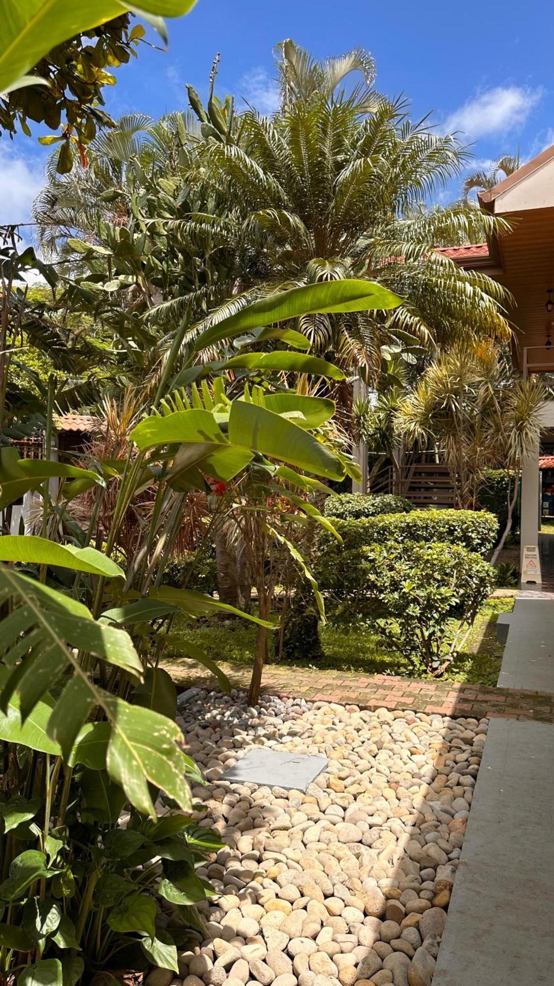 Brillasol Airport Hotel Las Ciruelas  Dış mekan fotoğraf